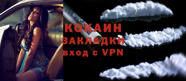 дживик Лагань