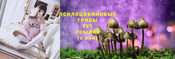 трава Алзамай