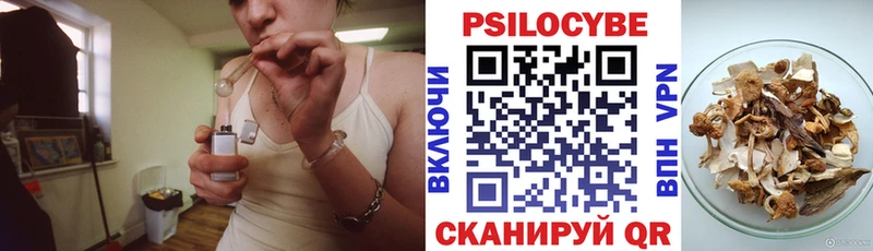 ОМГ ОМГ ССЫЛКА  Дмитров  Галлюциногенные грибы Psilocybine cubensis 